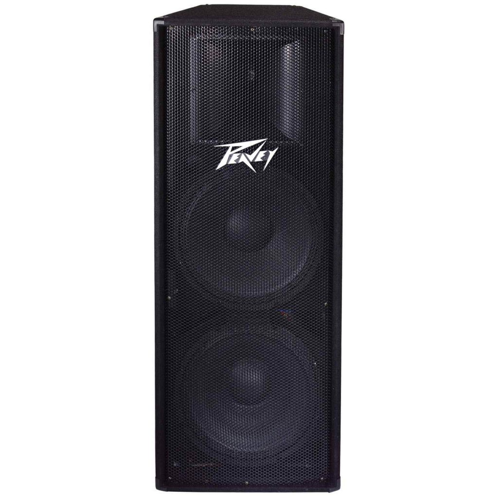 Peavey PV215 PA Speaker